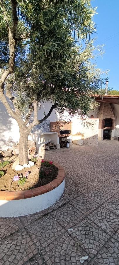 Villa Luisa Il Giardino Sul Mare Sciacca Exterior photo